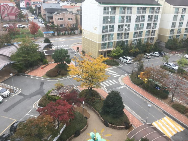 人探しと韓国伝統行事